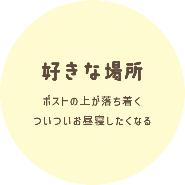 好きな場所