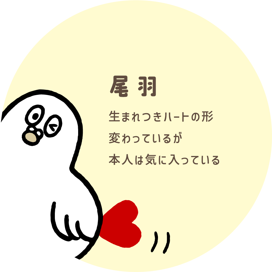 尾羽