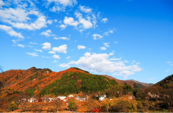 屋外広告